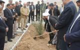 کاشت نهالهایی به یاد شهدا در پتروشیمی دهدشت کاشت نهالهایی به یاد شهدا در پتروشیمی دهدشت