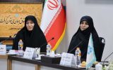 تشکیل کمیته ویژه بانوان در بانک توسعه تعاون تشکیل کمیته ویژه بانوان در بانک توسعه تعاون