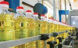۹۳ درصد روغن مصرفی کشور وارداتی است ۹۳ درصد روغن مصرفی کشور وارداتی است