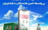 «پالیز» بانک کشاورزی، مجری رسمی «کشاورزی قراردادی» در کشور شد
