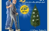 یک سالگی بیمه نامه مراقبت بلند مدت (سرو) بیمه کوثر یک سالگی بیمه نامه مراقبت بلند مدت (سرو) بیمه کوثر