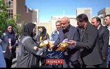 وزیر کار: کفشهای ایمنی هم پاره شد وزیر کار: کفشهای ایمنی هم پاره شد