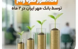 پرداخت بیش از ۸۵۰هزار فقره وام توسط بانک مهر ایران در ۲ ماه