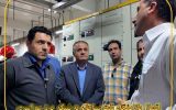 اتصال پالایشگاه نفت سپاهان به شبکه برق سراسری اتصال پالایشگاه نفت سپاهان به شبکه برق سراسری