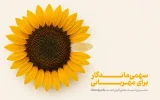 جشنواره حساب‌های قرض‌الحسنه پس‌انداز بانک پاسارگاد با صدها میلیارد ریال جایزه