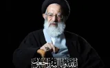 پیام مدیر عامل بیمه ایران به مناسبت ارتحال ملکوتی، حضرت آیت‌الله العظمی حاج سیدموسی شبیری زنجانی